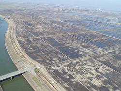 森戸 区画整理工事(その7) 森戸 区画整理工事(その7)